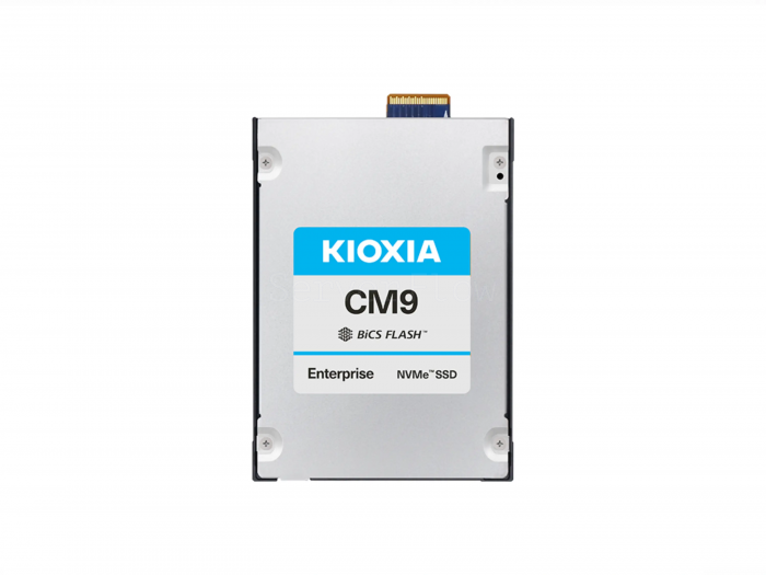 SSD-накопитель Kioxia CM9-R 3.84TB FIPS SED E3.S 7.5mm [KCM9FRJE3T84]